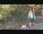 Kidnapping Dog (court métrage) - Partie 1
