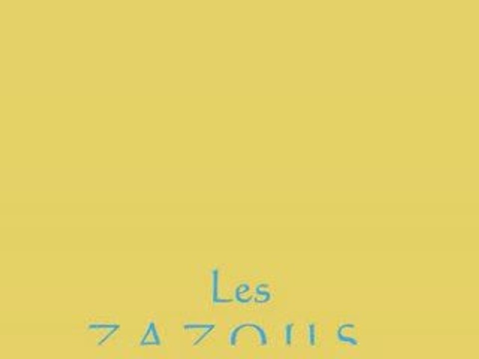 2x02 - Les Zazous et l'appareil photo