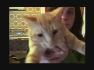 LA KABALA - La Kabala Music