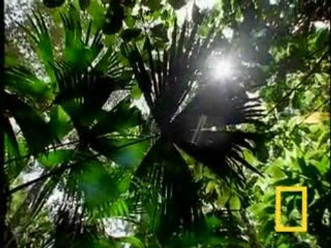 Global Green Services Fight Global Warming