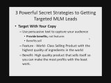 Powerful Secret Strategies to Getting Targeted MLM Leads