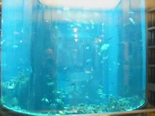 L'aquarium de l'hôtel Radisson Blu à Berlin