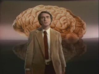 La persistencia de la memoria  (Carl Sagan)