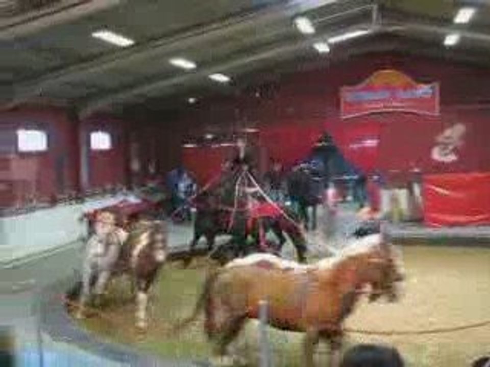 Vargas Show Poste à cheval