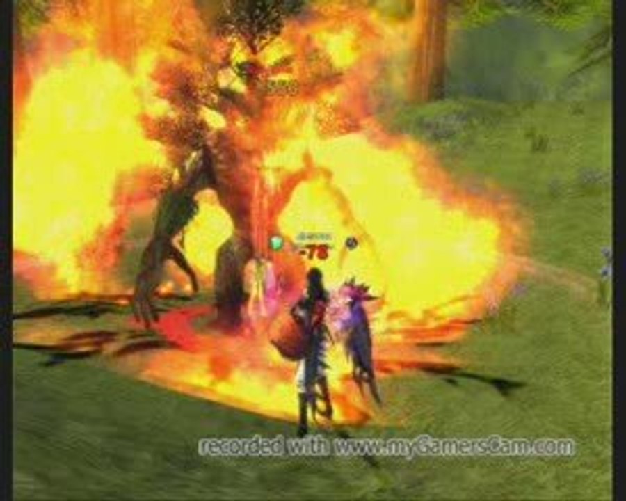 Runes of Magic - Himmelsteiter Gilde