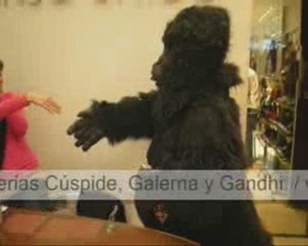 Barbú, el gorila escritor traducido por Stephen King.