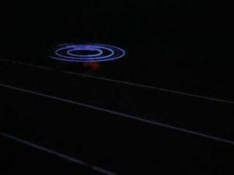 Dragonus pales de nuit Greg