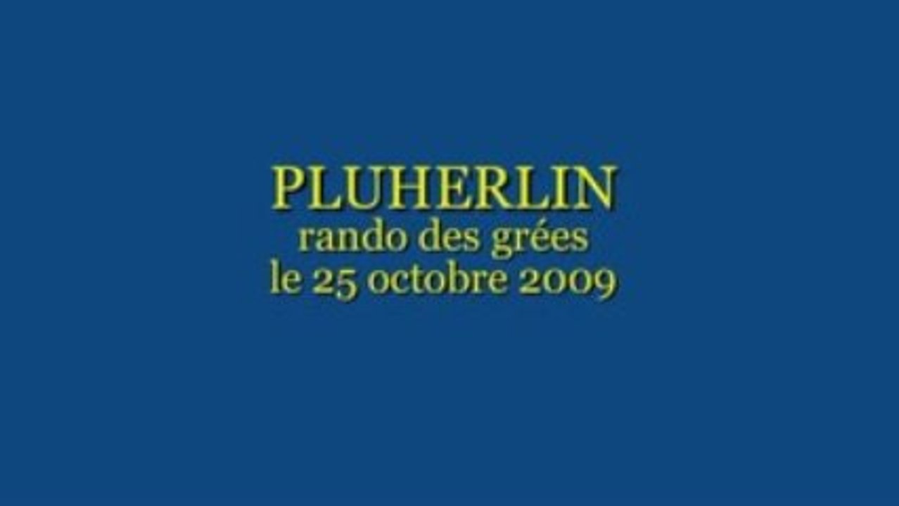 pluherlin 2009