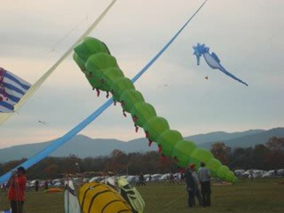 concour de cerf-volant 2009