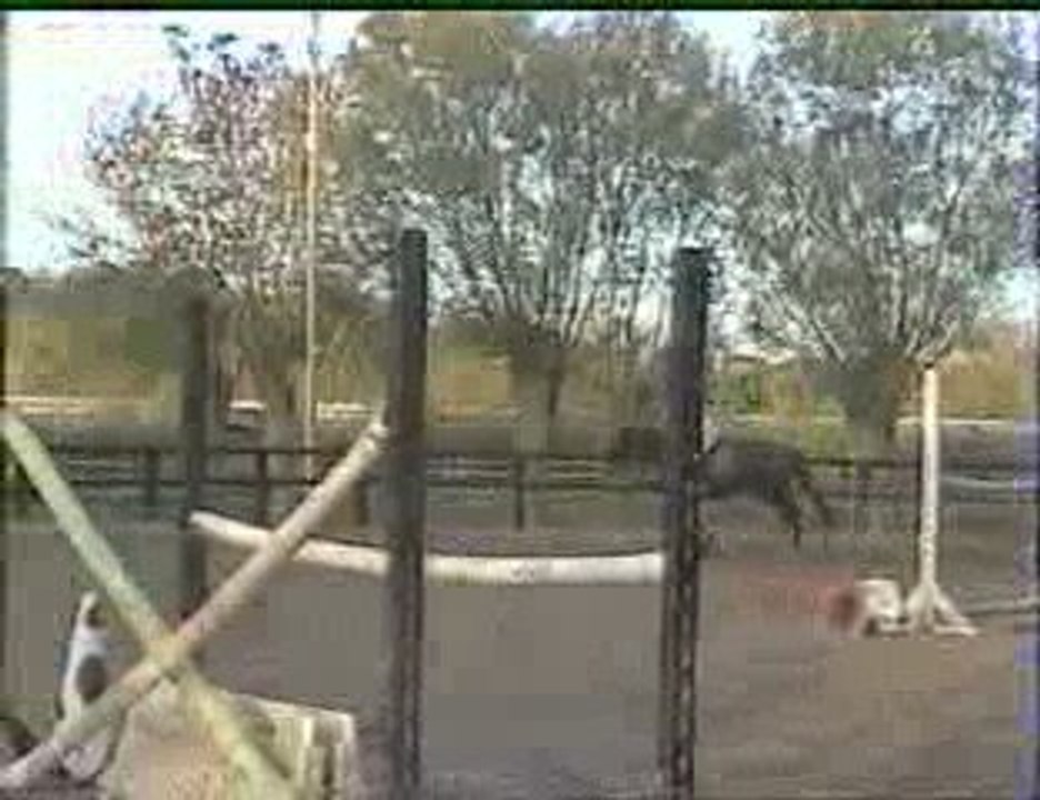 Entrainement saut 25/10/2009