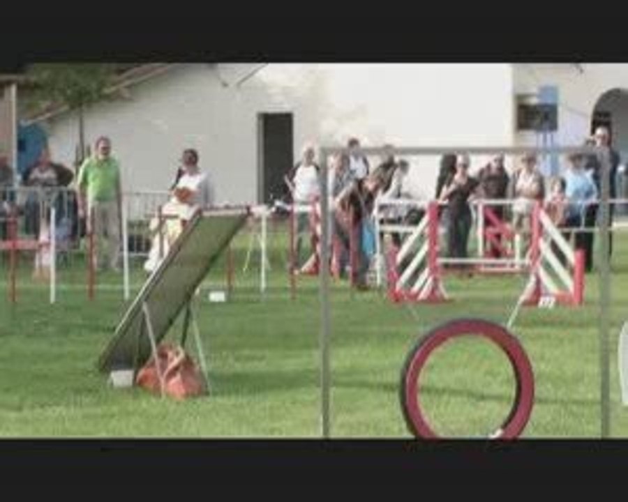 Buck  Agility L'Isle Sur Sorgue