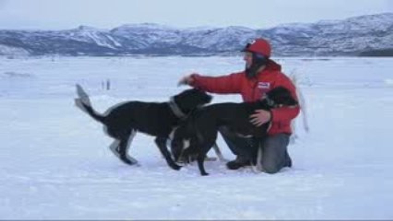 That's Mushing ! Emil Inauen et ses chiens de traineau