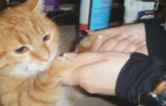 depart de ma mamour d'amour..je tmmmmmmmmmmmmm