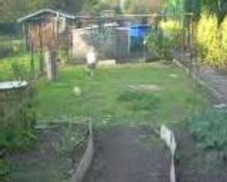 ma fille dans le jardin partie 2 001