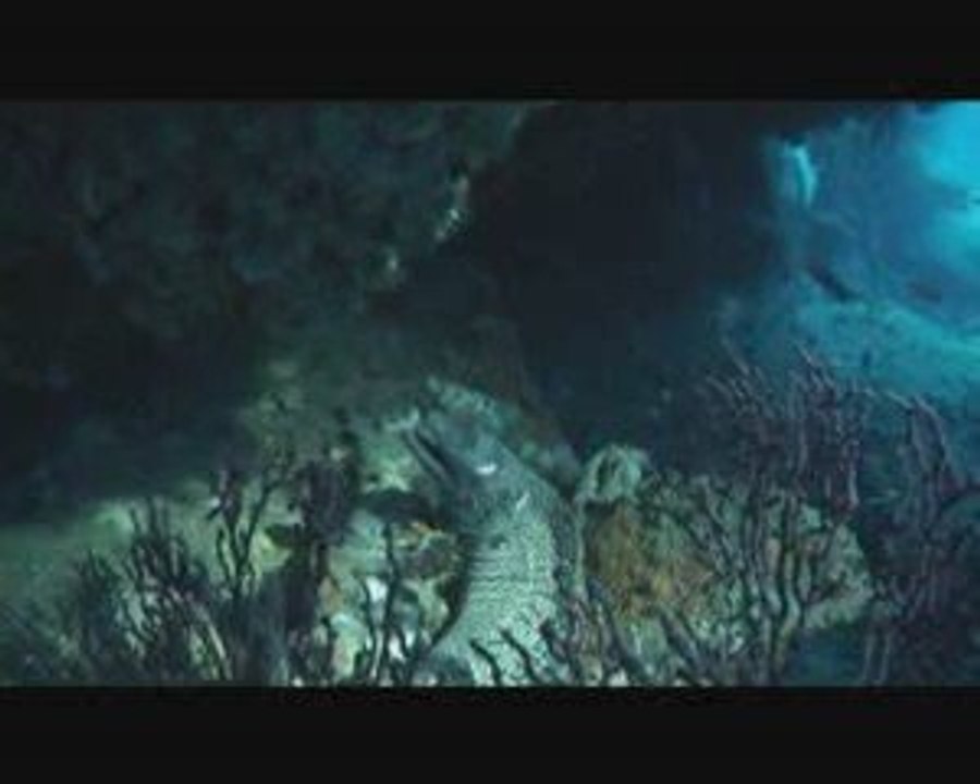 Parc national de Port-Cros > Porquerolles sous les vagues