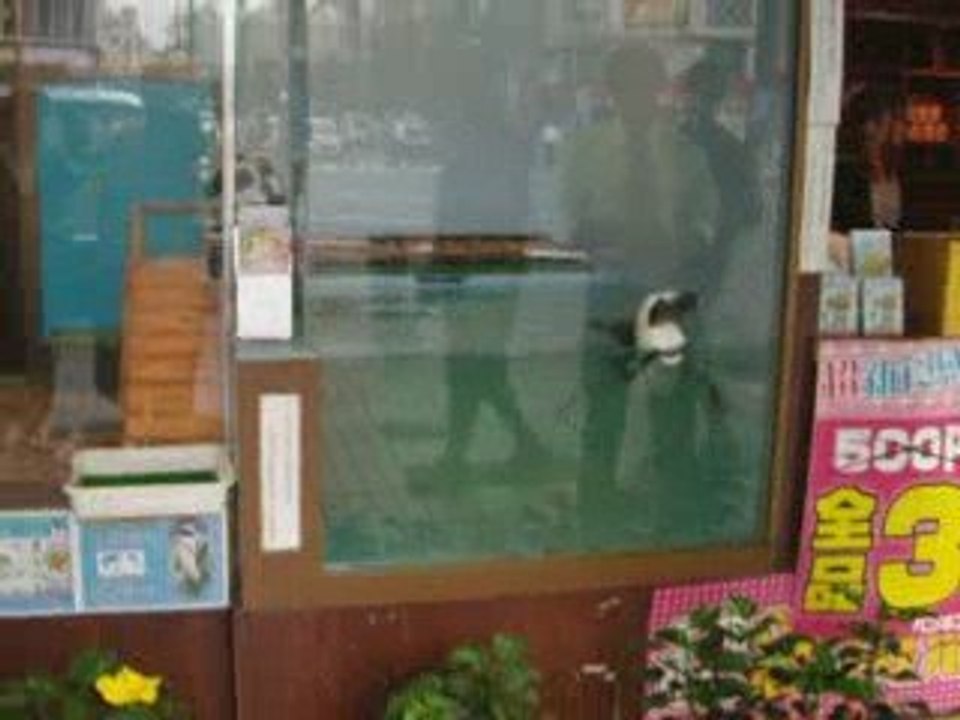 Devanture d'une boutique