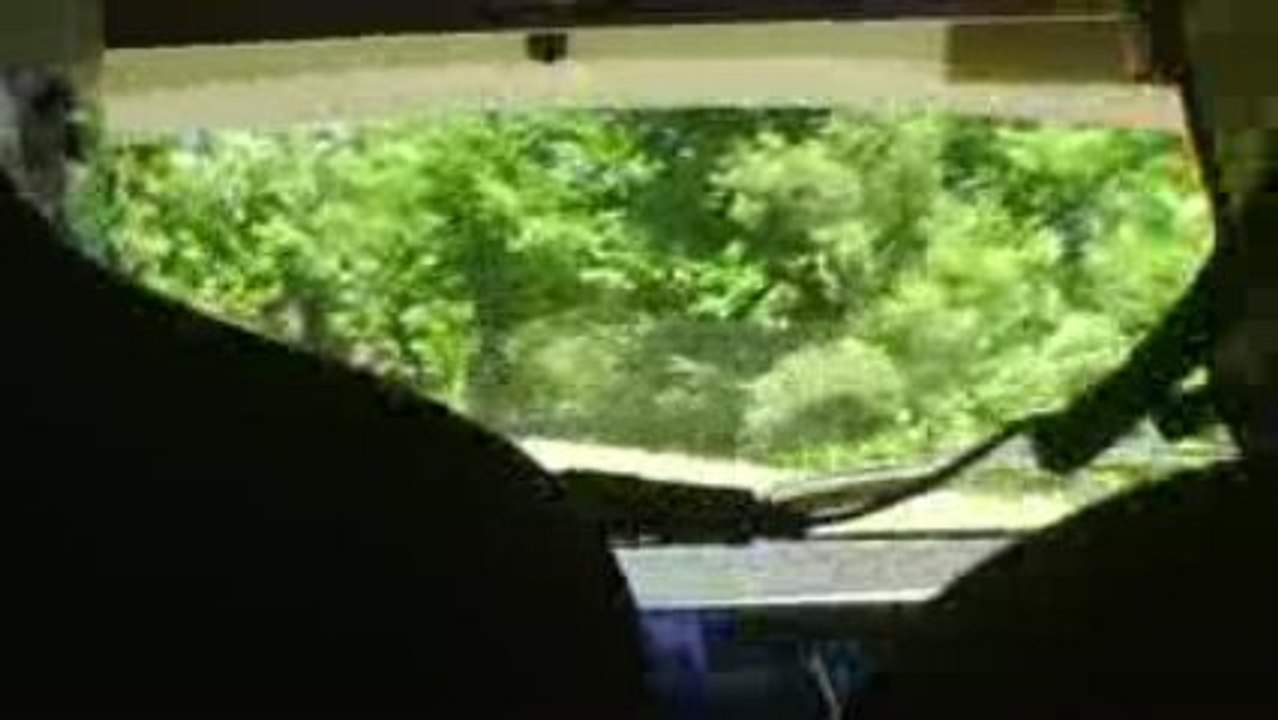 MANDAGOUT