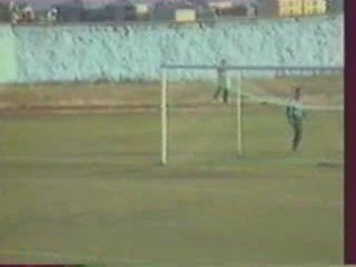 Un ramasseur de balle efficace !