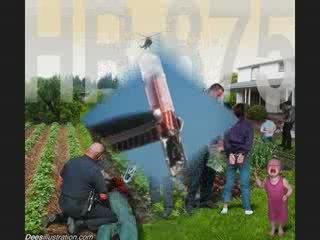 Petit regard sur le monde des humains !