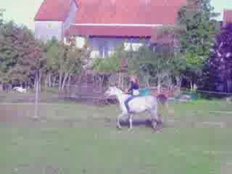 Saut d'obstacle a cru