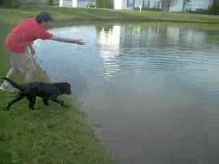 Minnie On The Go To "Wally On The Run"