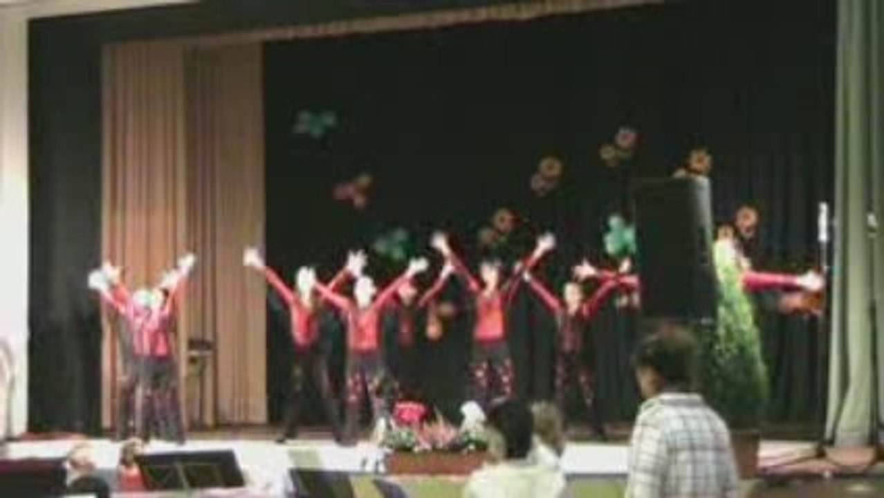 Veranstaltung 'Tanzen für ein Lächeln' Die Show