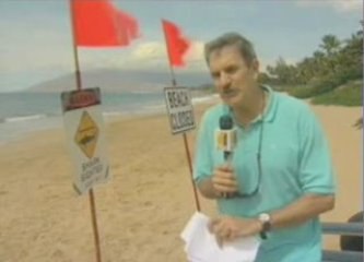 Officials Say Tiger Shark Likely Bit Surfer