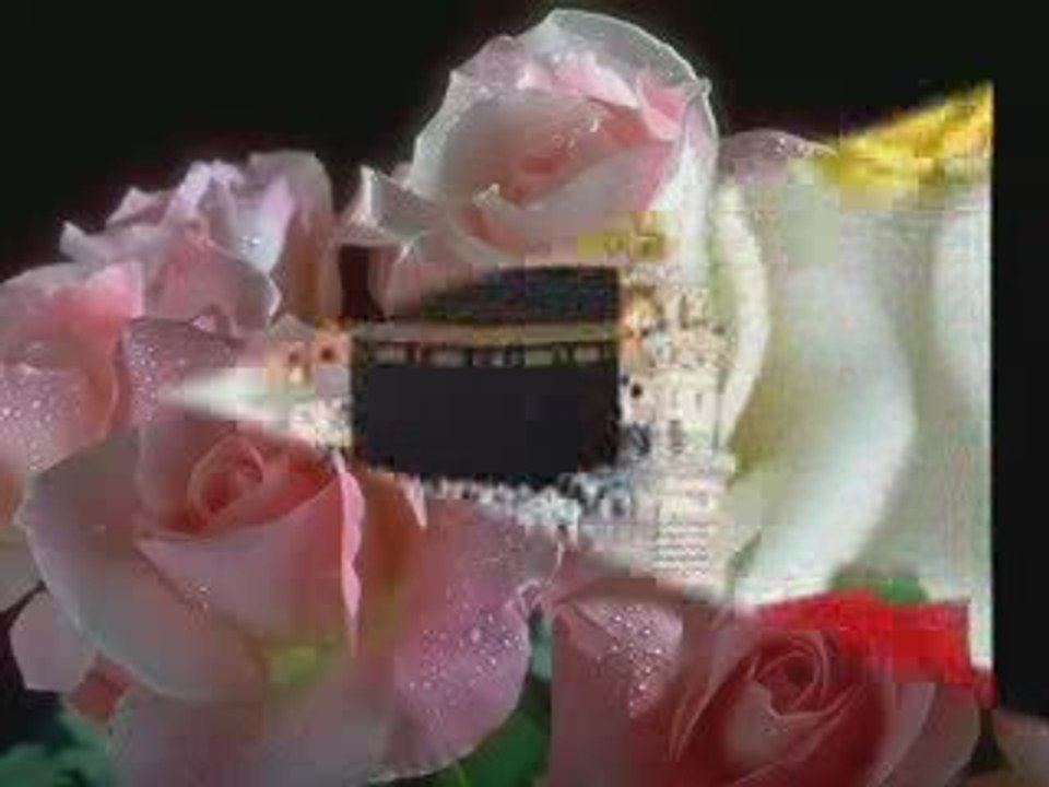 Sedat uçan,bilemezler,www.ilahi.cc