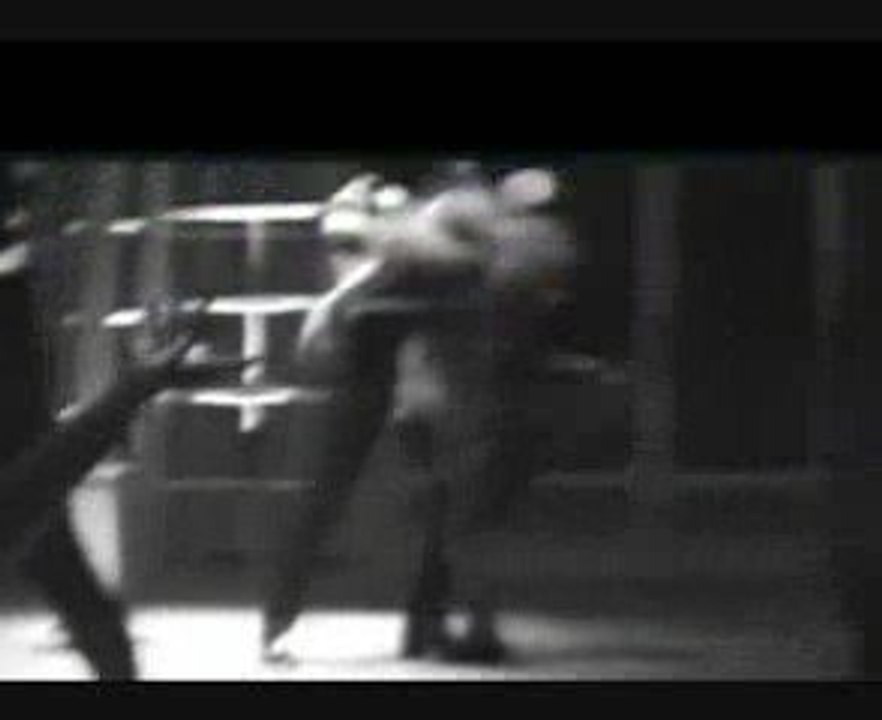 LINO PATRUNO: LA GIAVA DEI GATTI