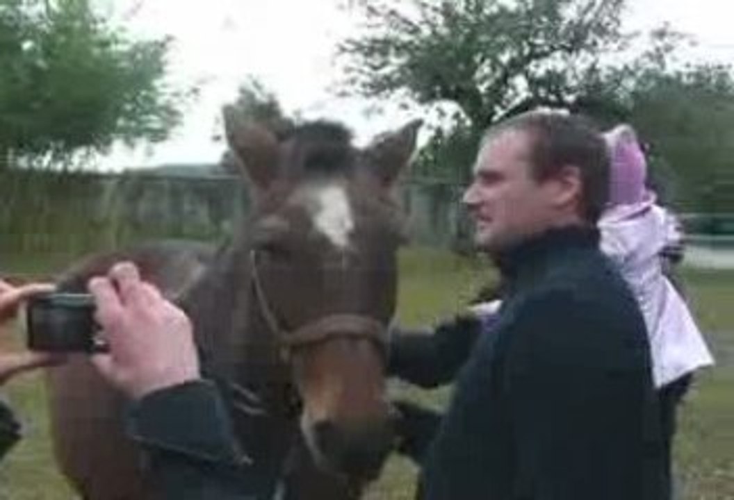 FILE0LES  CHEVAUX DE CANDY