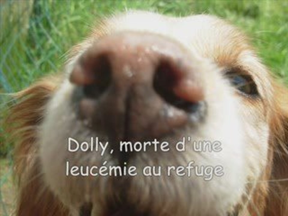 Vidéo waiting for an angel