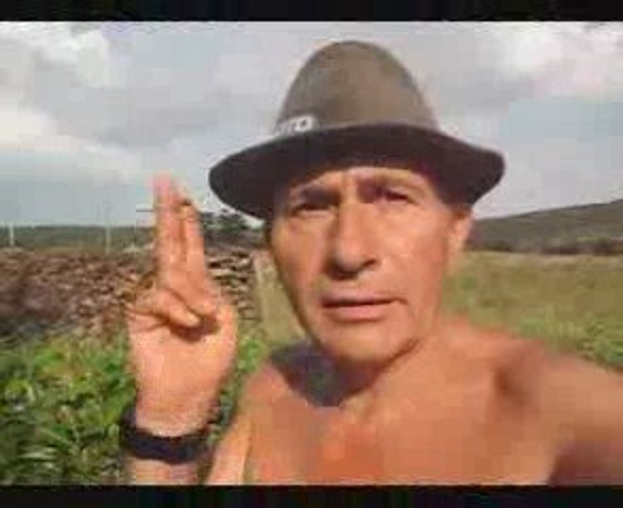 anaconda et elaphe long.