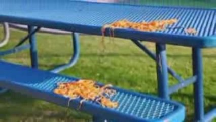 ** Zebrahead - Girlfriend - Avril Lavigne Cover **