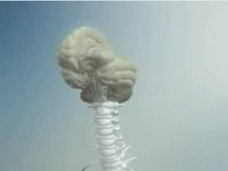 Demencia tipo Alzheimer (Sociedad Española de Neurologia)