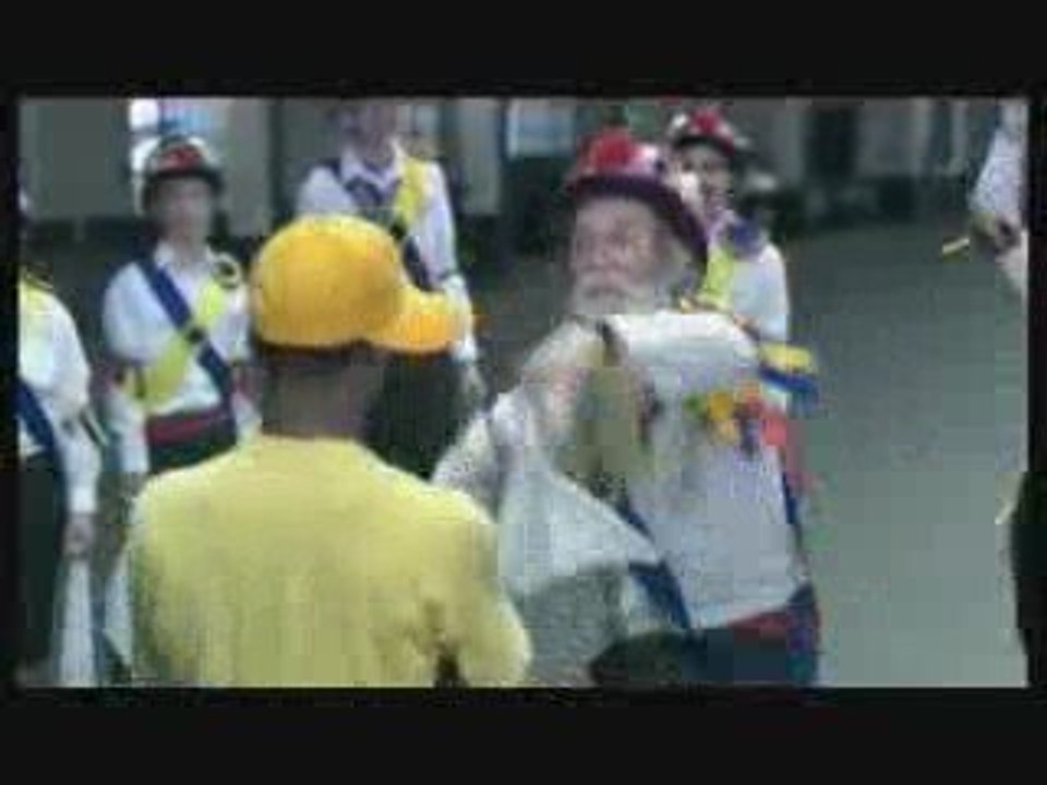 Ribena Viral