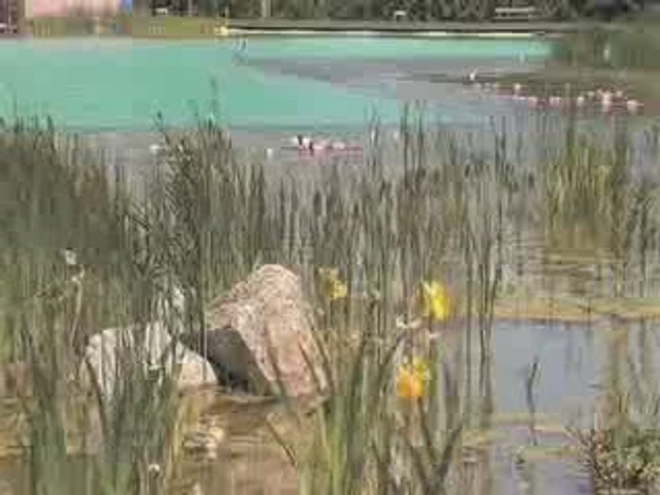 ST NIZIER le désert