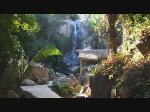 Discover Yelapa Puerto Vallarta Mexico