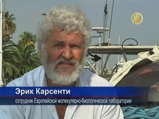 Учёные раскроют загадку океана