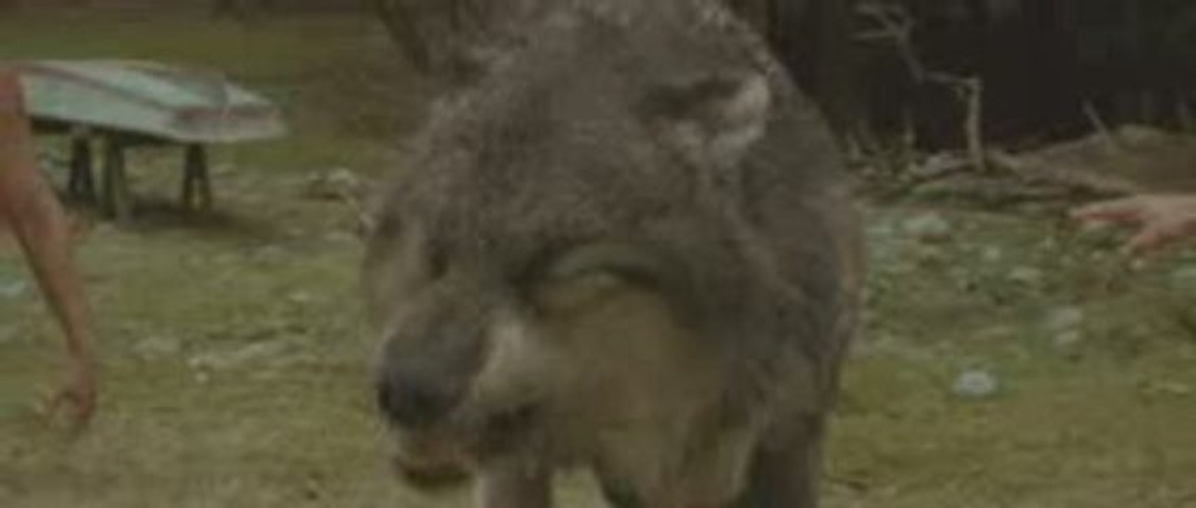 Twilight New Moon aperçu HD