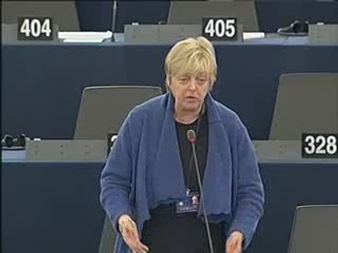 Annemie Neyts-Uyttebroeck on Draft general budget 2010