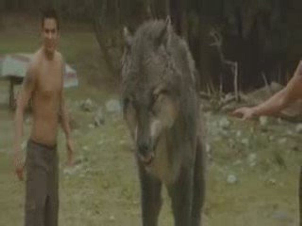 The Twilight Saga: New Moon [Movie Clip - Wolves]