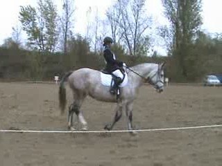 justine dressage club 1