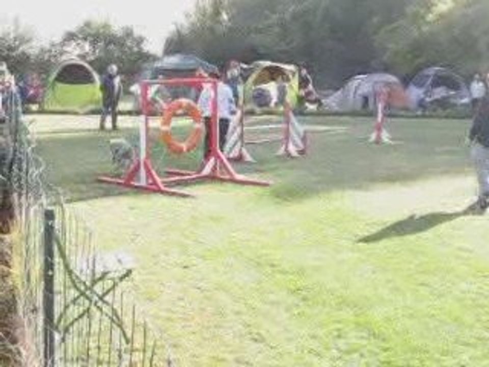 COncours Mehun, coco, jumping