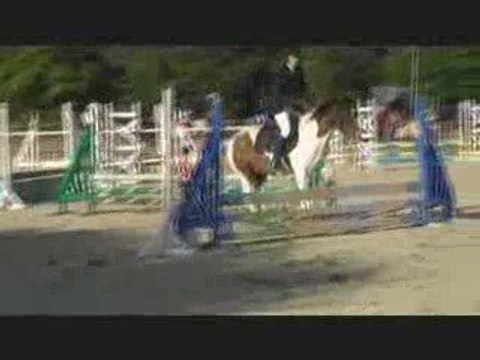 Myrtille CSO Languidic