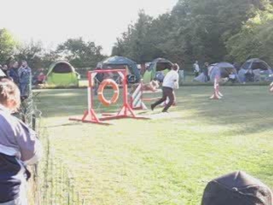 Concours de Mehun, Bag, jumping