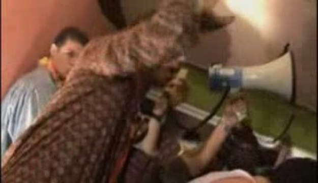 Teaser WEI ESRA Paris 2009 !