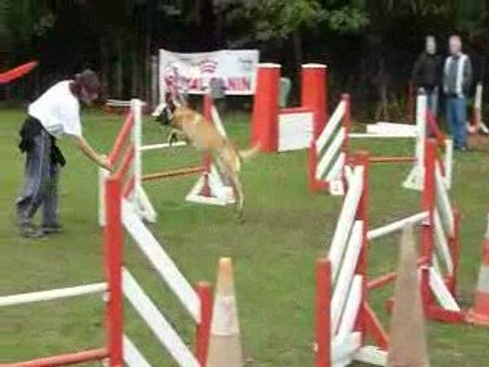 Run et isabelle - Concours Agility Saulx les Chartreux