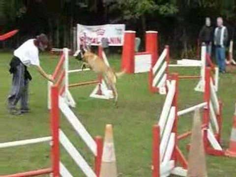 Run et isabelle - Concours Agility Saulx les Chartreux