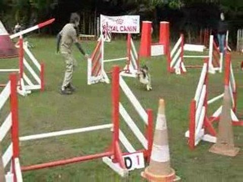 Beryl et Cédric - Concours Agility Saulx les Chartreux