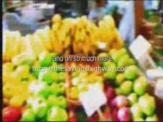 Retire Early to Florida | The Savings Highway